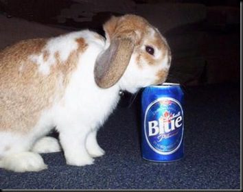 drunk-easter-bunny