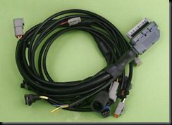 EFI Wire Harness 6-29-10