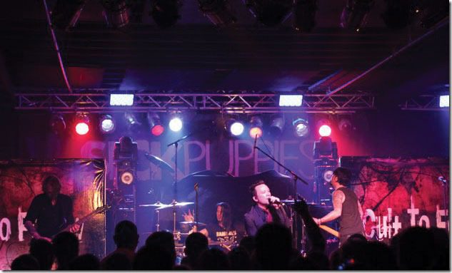 sturgissalooncosickpuppie