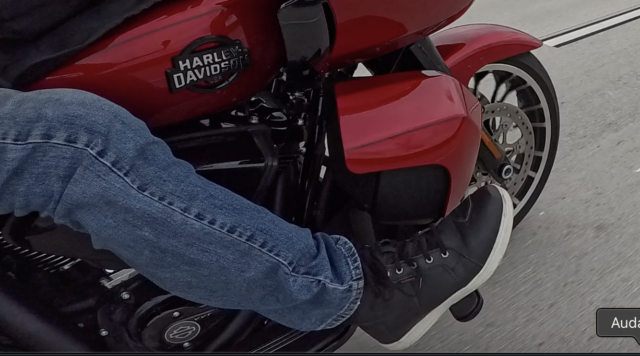 Milwaukee Leather Riding Shoe